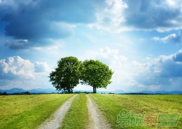 CCER突然火爆,監(jiān)管部門正整頓林業(yè)碳匯亂象